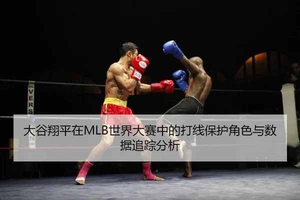 da-gu-xiang-ping-zai-shi-jie-da-sai-zhong-de-da-xian-bao-hu-jue-se-yu-shu-ju-zhui-zong-fen-xi-2-401.jpg